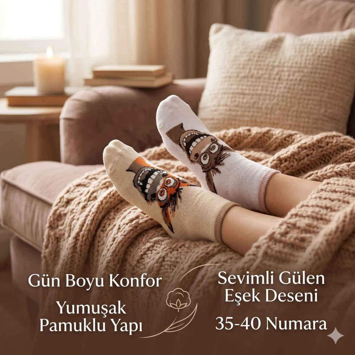 Kadın Gülen Eşek Desenli Çorap 8’li Set – Pamuklu, Eğlenceli ve Yumuşak Soket Çorap 36-40